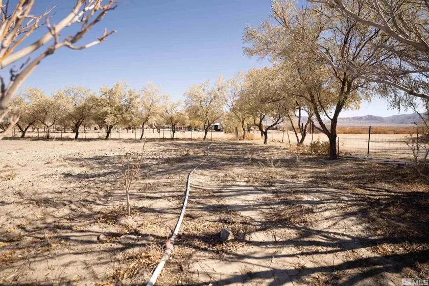 1505 Wagon Train Rd, Lovelock, Nevada 89419, 2 Bedrooms Bedrooms, ,1 BathroomBathrooms,Residential,For Sale,Wagon Train Rd,230012644