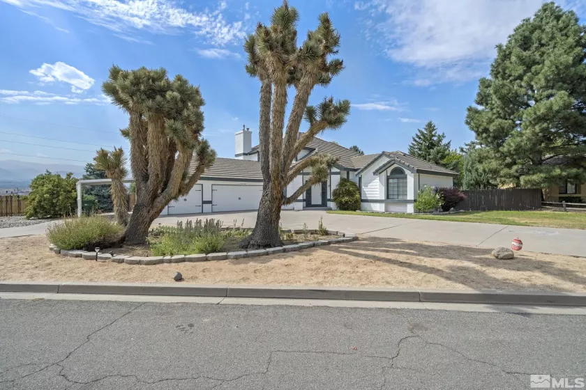 14050 Riata Circle, Reno, Nevada 89521, 4 Bedrooms Bedrooms, ,3 BathroomsBathrooms,Residential,For Sale,Riata Circle,240006180