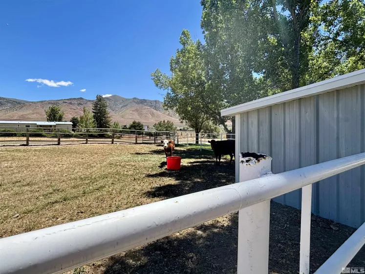 9800 Alice Ln, Winnemucca, Nevada 89445, 3 Bedrooms Bedrooms, ,2 BathroomsBathrooms,Residential,For Sale,Alice Ln,240006813