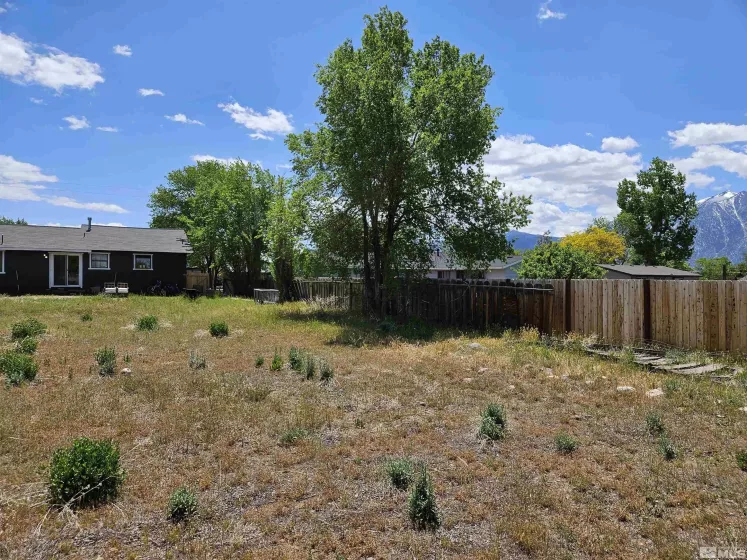 1312 Jobs Peak Dr, Gardnerville, Nevada 89460, 3 Bedrooms Bedrooms, ,3 BathroomsBathrooms,Residential,For Sale,Jobs Peak Dr,240006037