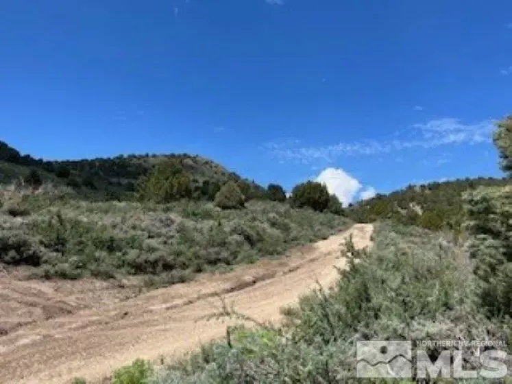 4720 Lost Burro Rd, Virginia City, Nevada 89521, ,Land,For Sale,Lost Burro Rd,240006781