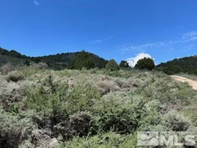 4720 Lost Burro Rd, Virginia City, Nevada 89521, ,Land,For Sale,Lost Burro Rd,240006781