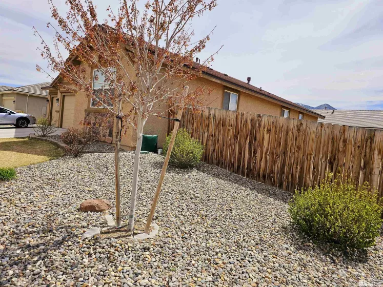 149 Page Drive, Dayton, Nevada 89403, 3 Bedrooms Bedrooms, ,2 BathroomsBathrooms,Residential,For Sale,Page Drive,240004102