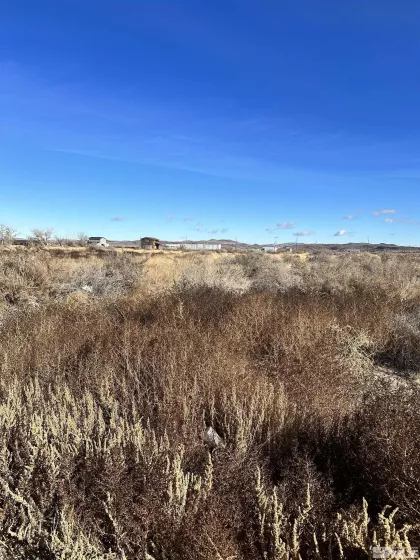 3690 Hwy 95A, Silver Springs, Nevada 89429, ,Land,For Sale,Hwy 95A,240002491