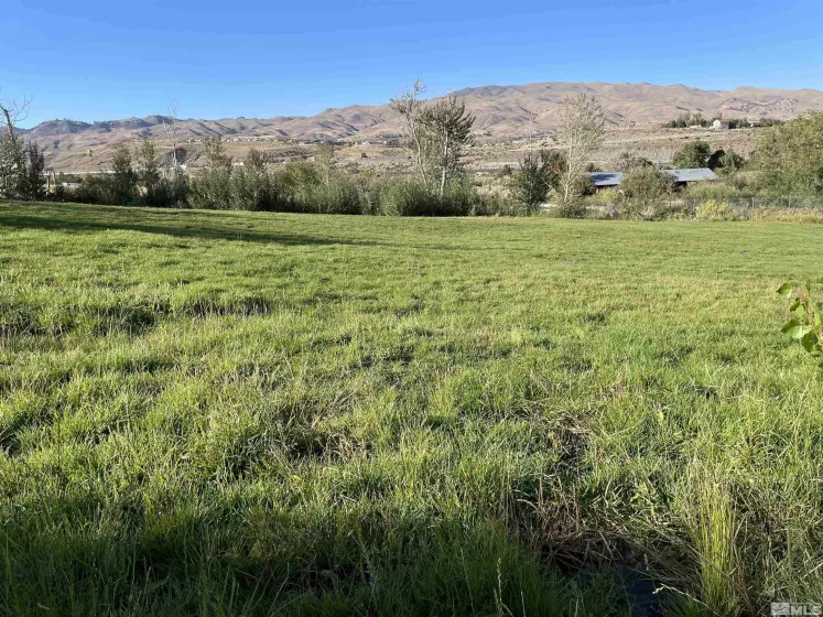 3380 Mario Land, Reno, Nevada 89523, ,Land,For Sale,Mario Land,230005169