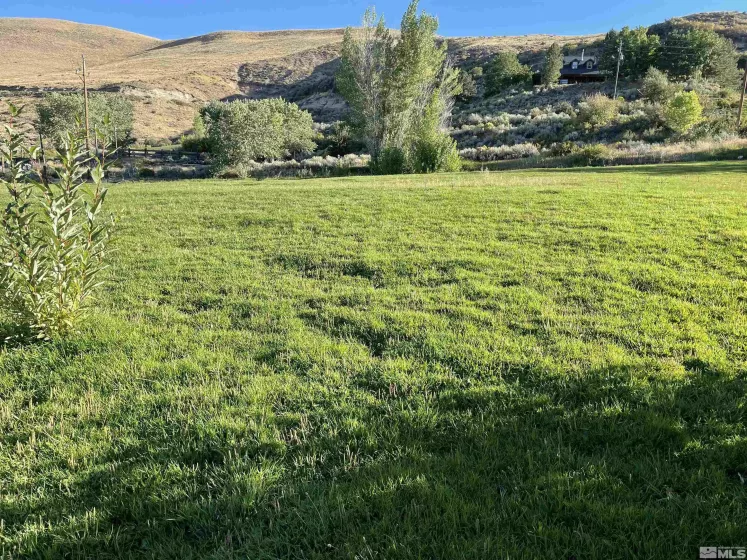 3380 Mario Land, Reno, Nevada 89523, ,Land,For Sale,Mario Land,230005169