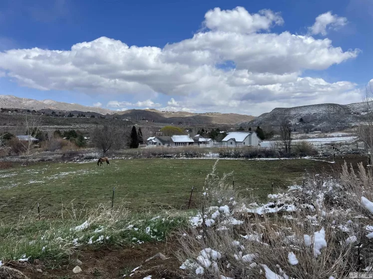 3380 Mario Land, Reno, Nevada 89523, ,Land,For Sale,Mario Land,230005169