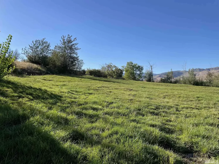 3380 Mario Land, Reno, Nevada 89523, ,Land,For Sale,Mario Land,230005169