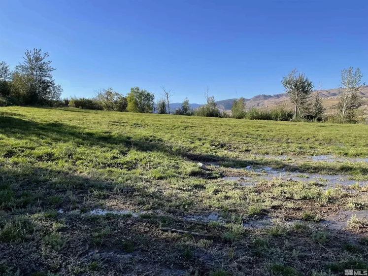 3380 Mario Land, Reno, Nevada 89523, ,Land,For Sale,Mario Land,230005169