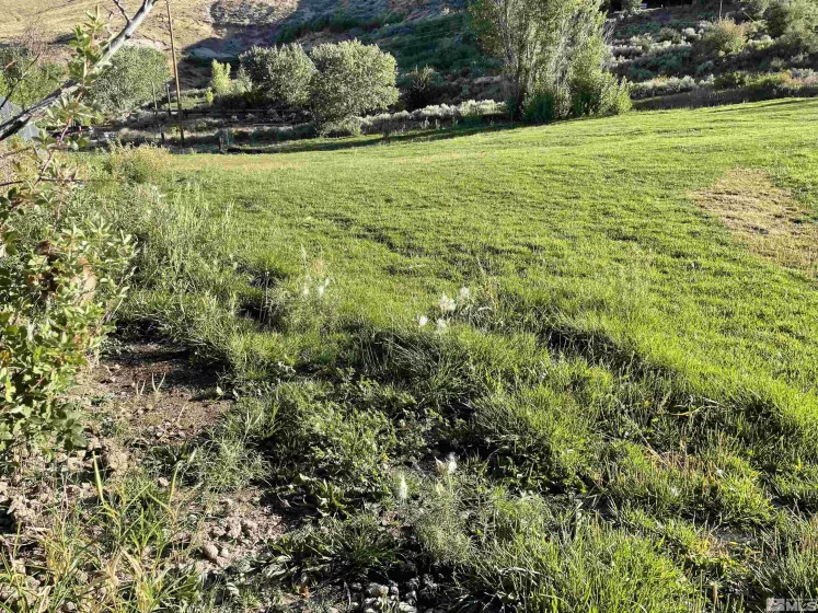 3380 Mario Land, Reno, Nevada 89523, ,Land,For Sale,Mario Land,230005169