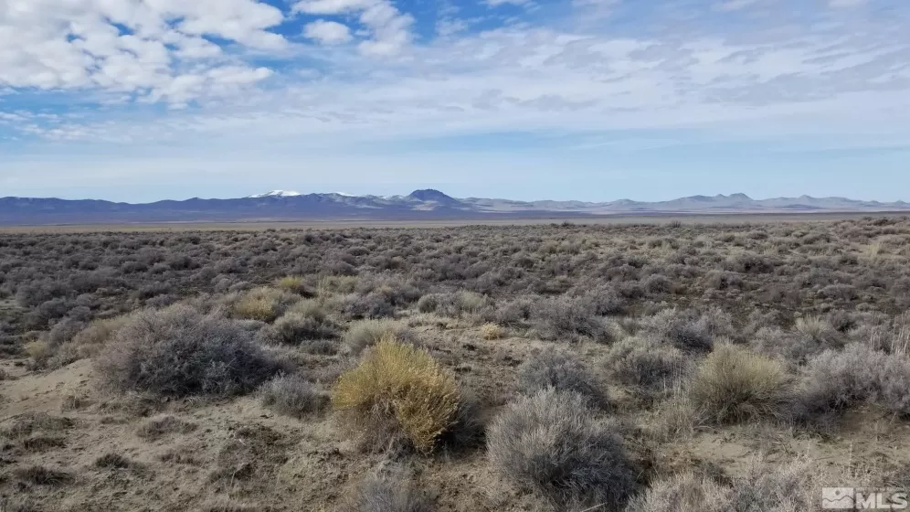 00818012 Unnamed Road, Imlay, Nevada 89418, ,Land,For Sale,Unnamed Road,240000661