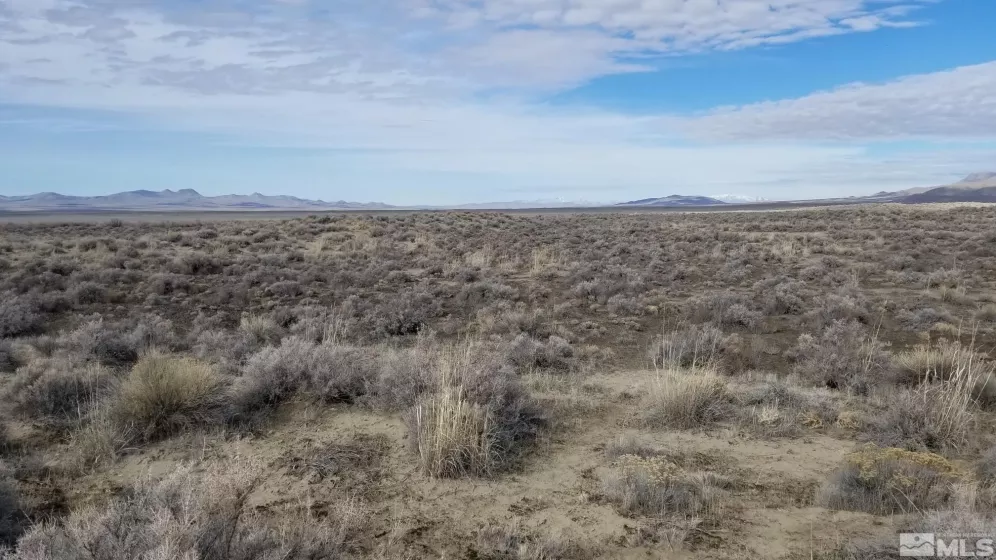 00818012 Unnamed Road, Imlay, Nevada 89418, ,Land,For Sale,Unnamed Road,240000661