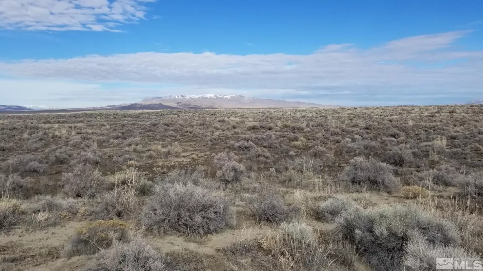 00818012 Unnamed Road, Imlay, Nevada 89418, ,Land,For Sale,Unnamed Road,240000661