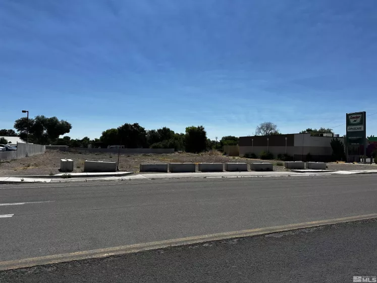 1291 Taylor, Fallon, Nevada 89406, ,Land,For Sale,Taylor,240009024