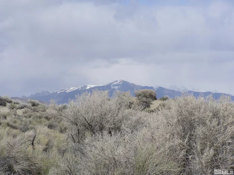 06068114 Near Dutch Flat, Winnemucca, Nevada 89445, ,Land,For Sale,Near Dutch Flat,240009280