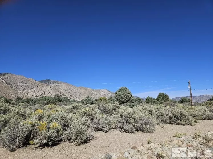 460 Upper Colony Road, Wellington, Nevada 89444, 2 Bedrooms Bedrooms, ,1 BathroomBathrooms,Residential,For Sale,Upper Colony Road,240009928