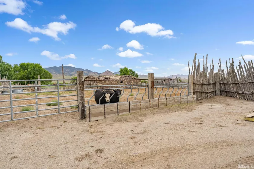 HC 6180 Reese River Road, Austin, Nevada 89310, 1 Bedroom Bedrooms, ,1 BathroomBathrooms,Farm,For Sale,Reese River Road,240010320