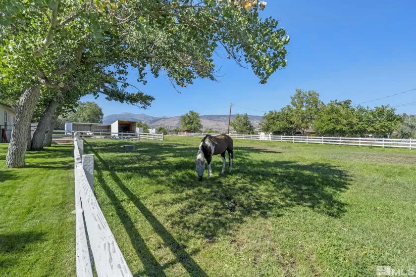 1635 Monte Vista, Reno, Nevada 89511, 4 Bedrooms Bedrooms, ,3 BathroomsBathrooms,Residential,For Sale,Monte Vista,240011112