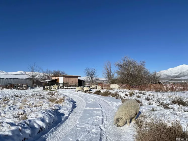 6055 Mountain View Dr, Winnemucca, Nevada 89445, 2 Bedrooms Bedrooms, ,3 BathroomsBathrooms,Residential,For Sale,Mountain View Dr,240011474