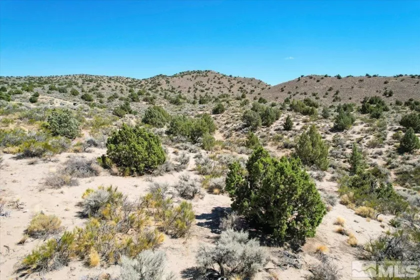 75 Wootton Downs Dr, Sparks, Nevada 89441, ,Land,For Sale,Wootton Downs Dr,240011618