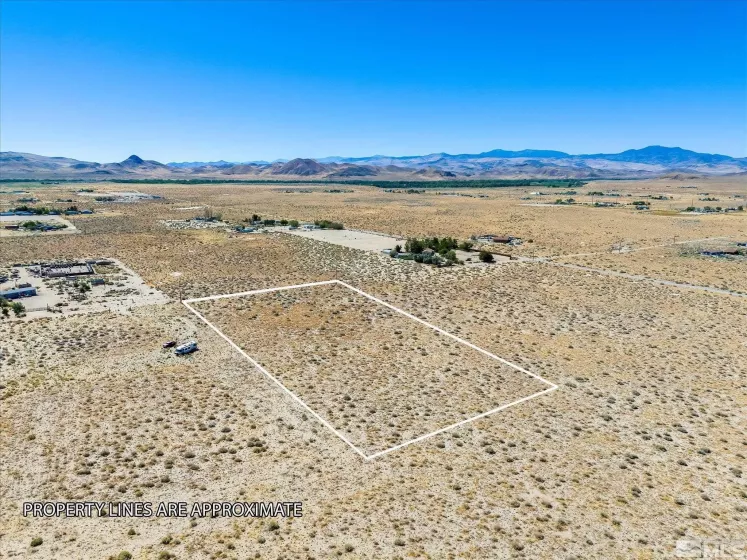 1650 Cougar Street, Silver Springs, Nevada 89429, ,Land,For Sale,Cougar Street,240011889