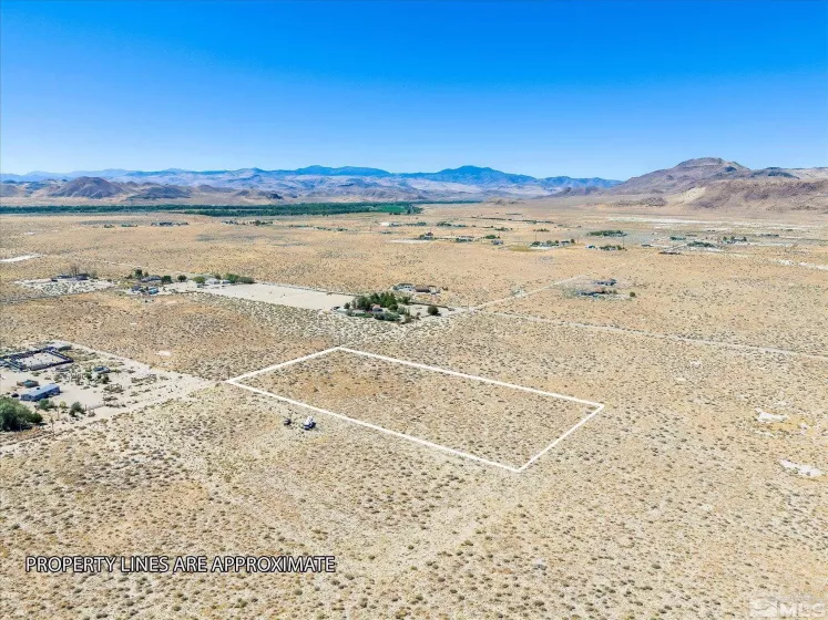 1650 Cougar Street, Silver Springs, Nevada 89429, ,Land,For Sale,Cougar Street,240011889