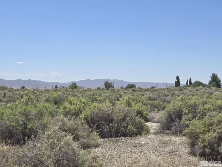 200 Raymond Rd, Lovelock, Nevada 89419, ,Land,For Sale,Raymond Rd,240011902