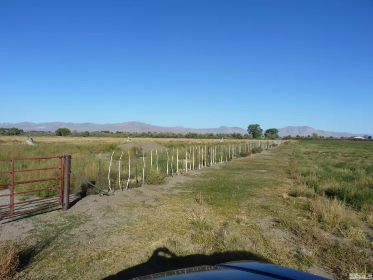 162 Artesia RD, Wellington, Nevada 89444, 4 Bedrooms Bedrooms, ,1 BathroomBathrooms,Farm,For Sale,Artesia RD,240000224