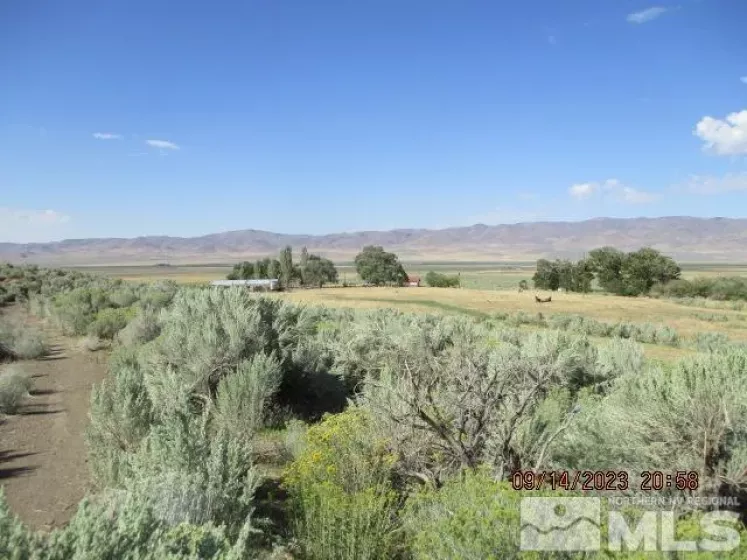 42957 Horse Creek Road, Orovada, Nevada 89425, ,Farm,For Sale,Horse Creek Road,230010953