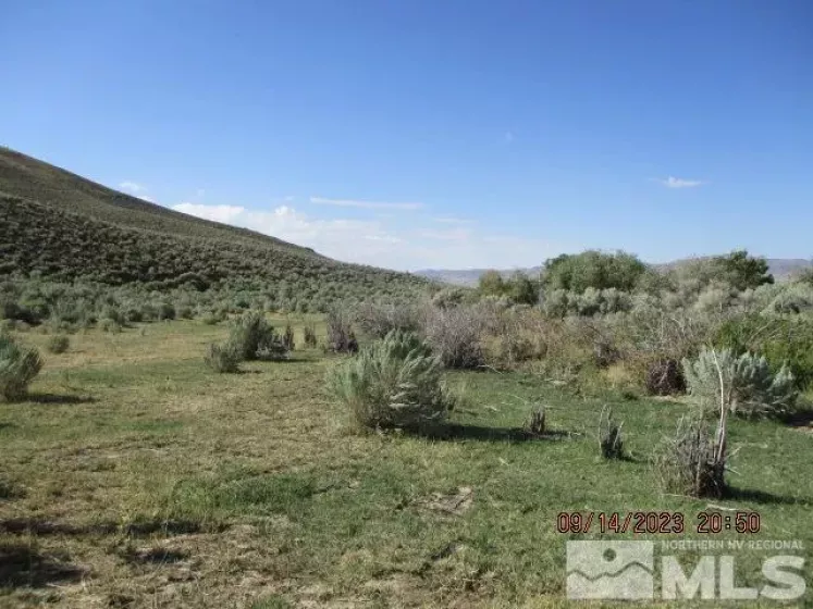 42957 Horse Creek Road, Orovada, Nevada 89425, ,Farm,For Sale,Horse Creek Road,230010953