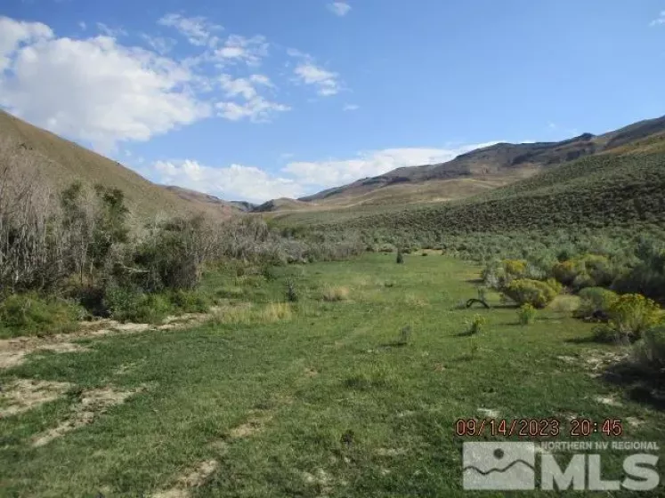 42957 Horse Creek Road, Orovada, Nevada 89425, ,Farm,For Sale,Horse Creek Road,230010953