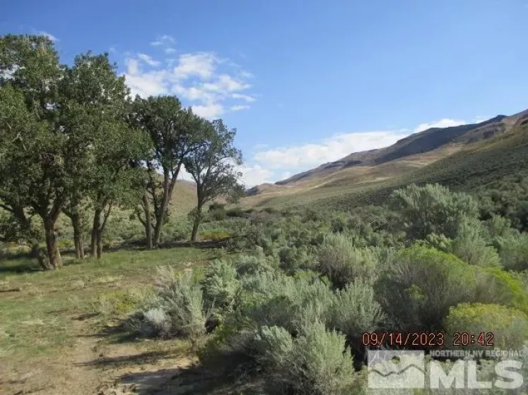 42957 Horse Creek Road, Orovada, Nevada 89425, ,Farm,For Sale,Horse Creek Road,230010953