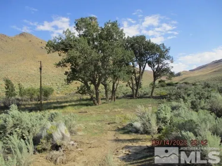 42957 Horse Creek Road, Orovada, Nevada 89425, ,Farm,For Sale,Horse Creek Road,230010953