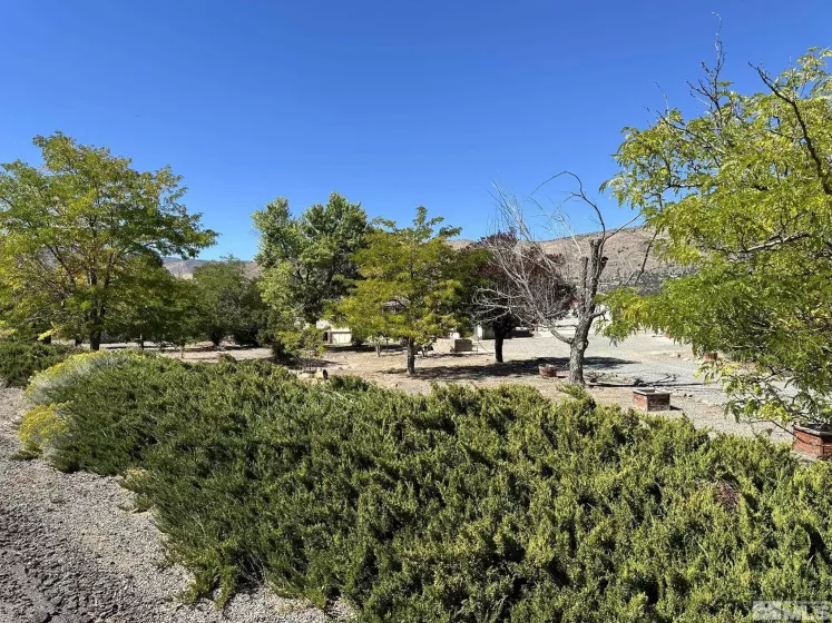 3704 Ballman, Wellington, Nevada 89444, 3 Bedrooms Bedrooms, ,2 BathroomsBathrooms,Residential,For Sale,Ballman,240012230