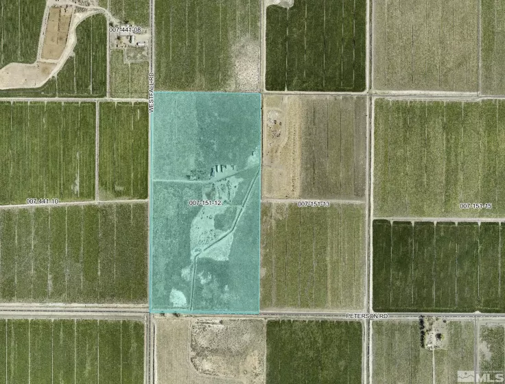 3888 Westfall Rd., Lovelock, Nevada 89419, ,Farm,For Sale,Westfall Rd.,240012628