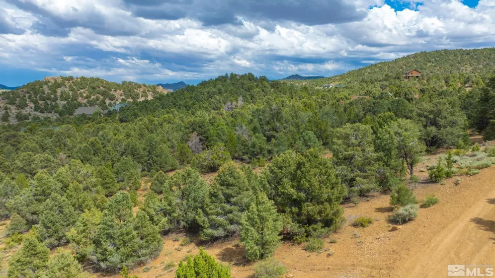 21701 Clemens Rd., Reno, Nevada 89521, ,Land,For Sale,Clemens Rd.,240007806