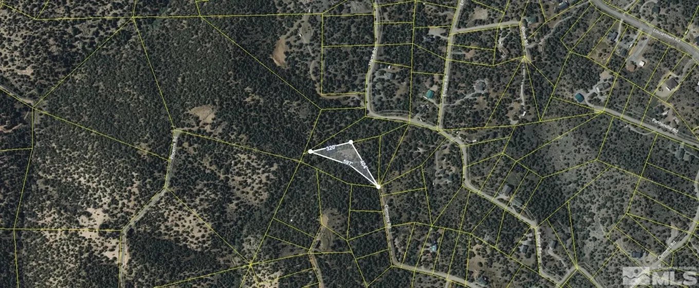 21701 Clemens Rd., Reno, Nevada 89521, ,Land,For Sale,Clemens Rd.,240007806