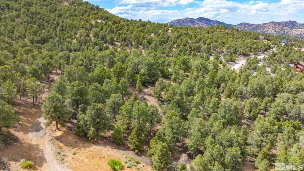 21701 Clemens Rd., Reno, Nevada 89521, ,Land,For Sale,Clemens Rd.,240007806