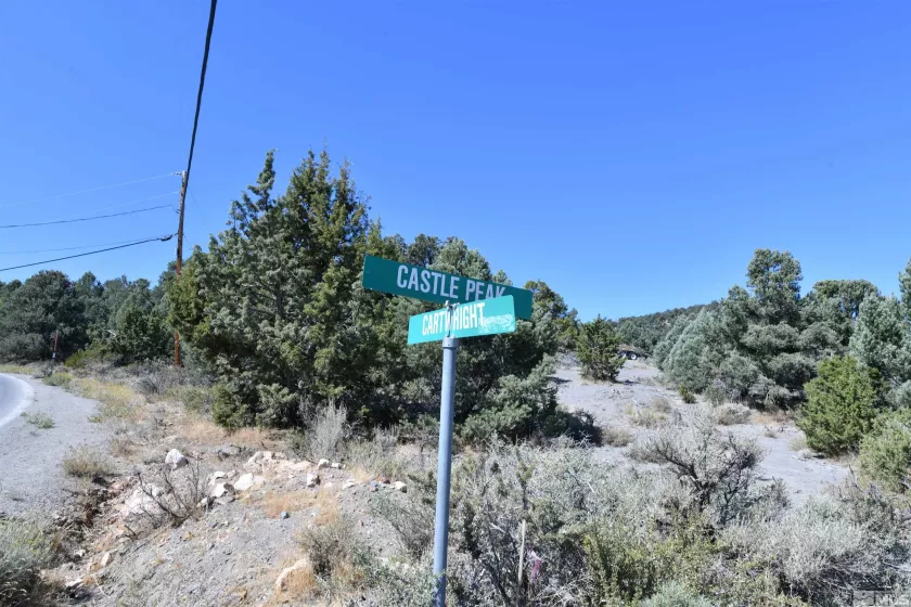 2332 Cartwright Rd., Reno, Nevada 89521, ,Land,For Sale,Cartwright Rd.,240012803