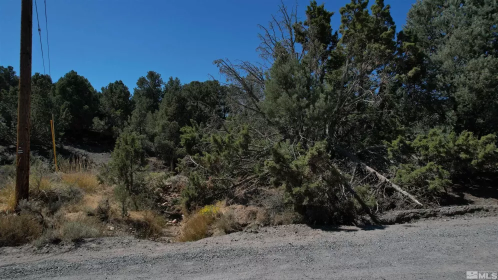 2332 Cartwright Rd., Reno, Nevada 89521, ,Land,For Sale,Cartwright Rd.,240012803