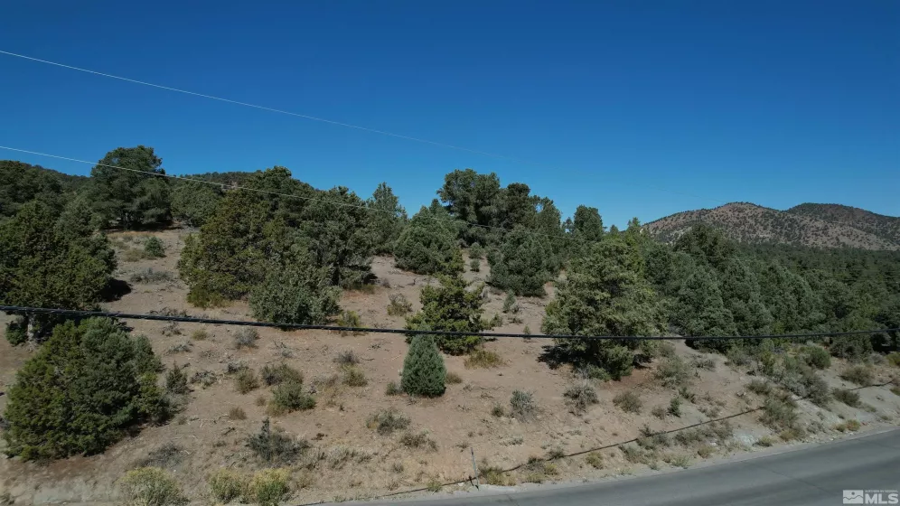 2332 Cartwright Rd., Reno, Nevada 89521, ,Land,For Sale,Cartwright Rd.,240012803