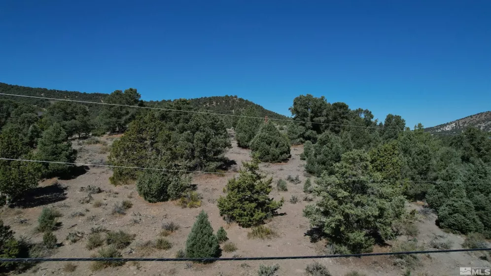 2332 Cartwright Rd., Reno, Nevada 89521, ,Land,For Sale,Cartwright Rd.,240012803