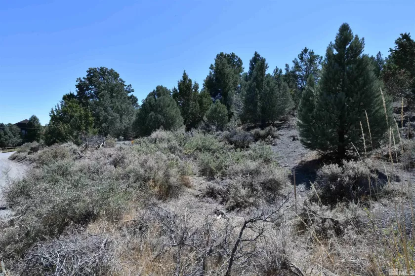 2332 Cartwright Rd., Reno, Nevada 89521, ,Land,For Sale,Cartwright Rd.,240012803