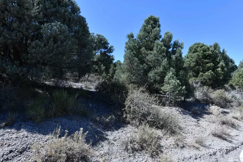 2332 Cartwright Rd., Reno, Nevada 89521, ,Land,For Sale,Cartwright Rd.,240012803