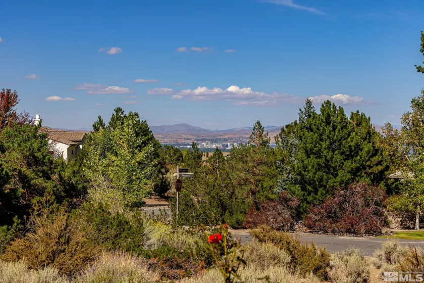 1381 Amado Ct., Reno, Nevada 89511, 3 Bedrooms Bedrooms, ,3 BathroomsBathrooms,Residential,For Sale,Amado Ct.,240012807