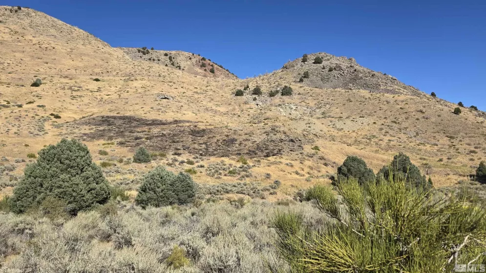 004-311-01 Six Mile Canyon Road, Virginia City, Nevada 89403, ,Land,For Sale,Six Mile Canyon Road,240012812