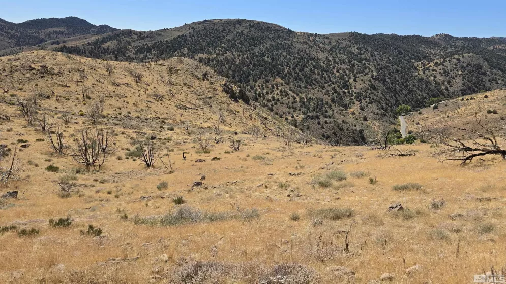 004-311-01 Six Mile Canyon Road, Virginia City, Nevada 89403, ,Land,For Sale,Six Mile Canyon Road,240012812