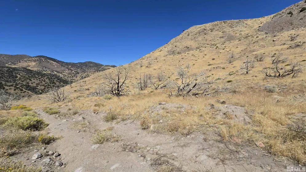 004-311-01 Six Mile Canyon Road, Virginia City, Nevada 89403, ,Land,For Sale,Six Mile Canyon Road,240012812