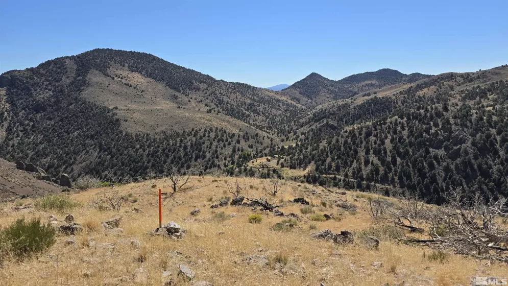 004-311-01 Six Mile Canyon Road, Virginia City, Nevada 89403, ,Land,For Sale,Six Mile Canyon Road,240012812