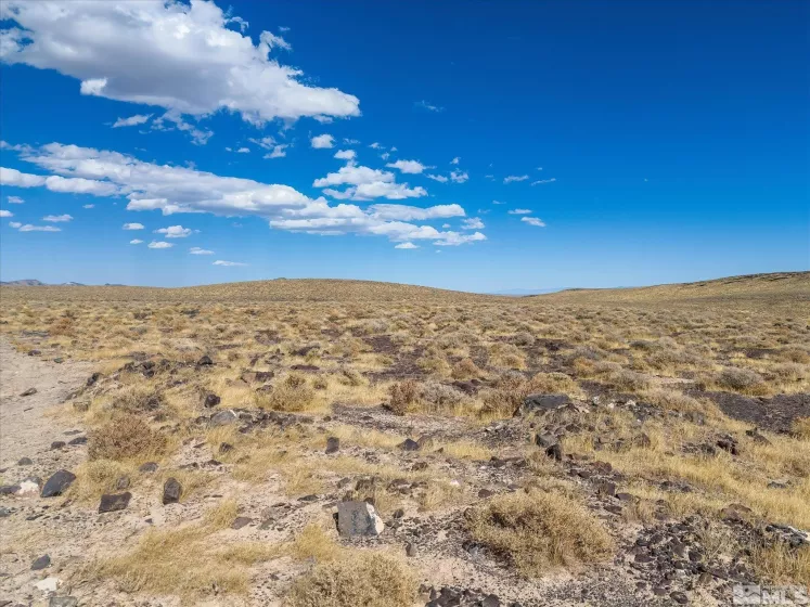 00702160 Churchill, Fallon, Nevada 89406, ,Land,For Sale,Churchill,240012927